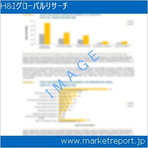 市場と産業調査レポートのイメージ